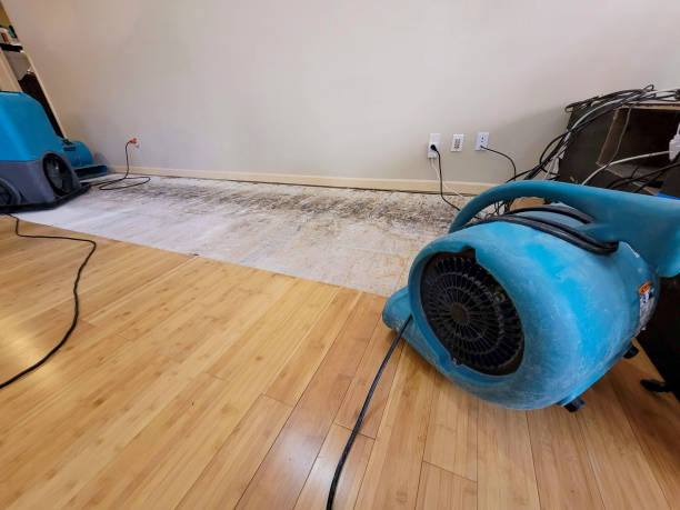 Professional Emergency Water Damage technician working in Forest Lake, MN